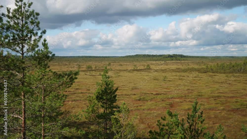Panning shot of swamp landscape on a cloudy day from Finland. Panning shot of swamp landscape on a cloudy day from Finland.
