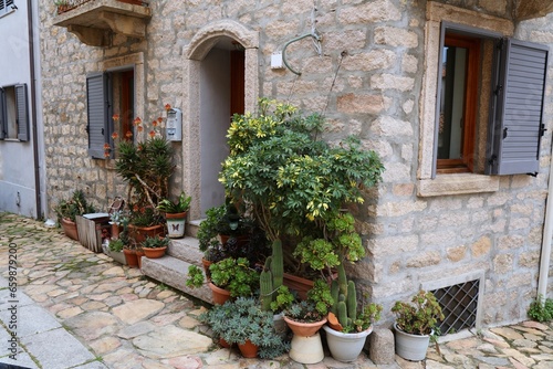 Cozy sidewalk garden in Italy