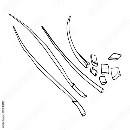 Young green onion isolated on white background. Watercolor illustration. For product design, packaging, cuisine, ingredient and condiment.