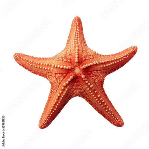 Starfish isolated on transparent background. Sea star