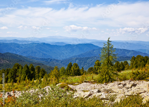 Picturesque landscape of the Altai Mountains on a sunny summer day. Altai, Russia