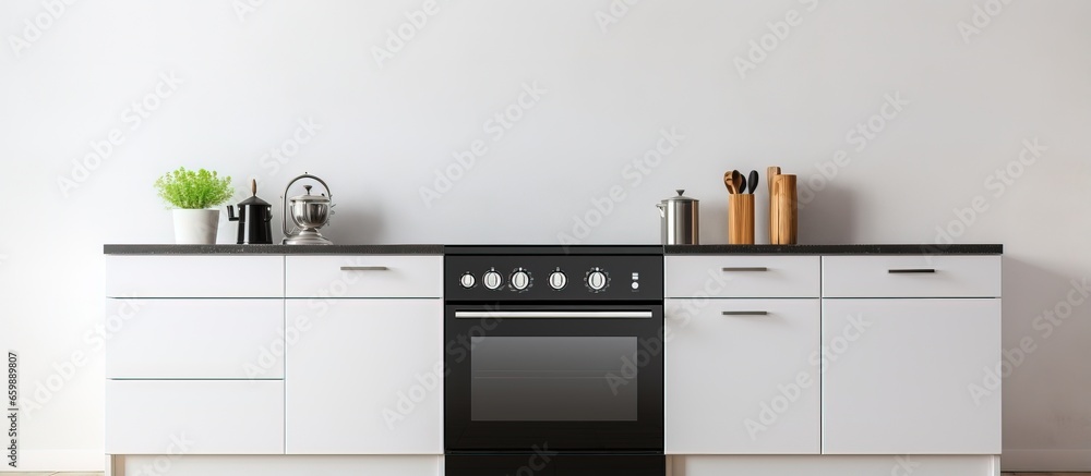 Contemporary kitchen with electric and gas stoves sleek minimalist design Contemporary kitchen with electric and gas stoves sleek minimalist design