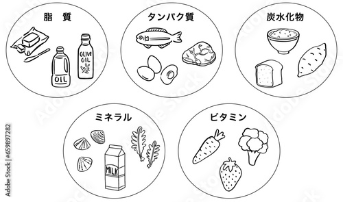 五大栄養素　食品　1色