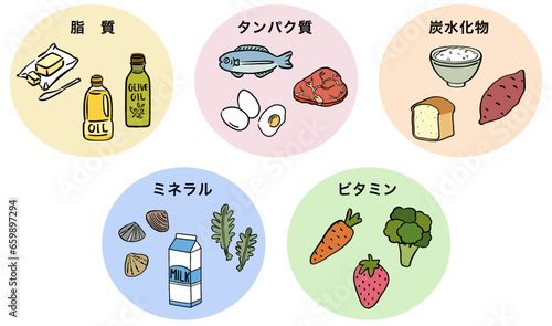 五大栄養素　食品