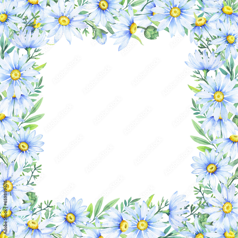 Floral daisy border, watercolor illustration. White daisy. Floral botanical flower. Frame border ornament