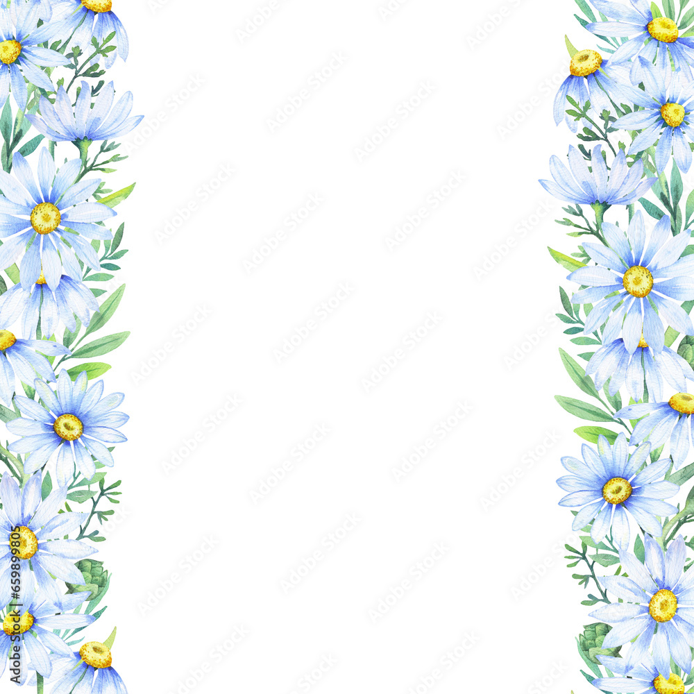 Floral daisy border, watercolor illustration. White daisy. Floral botanical flower. Frame border ornament