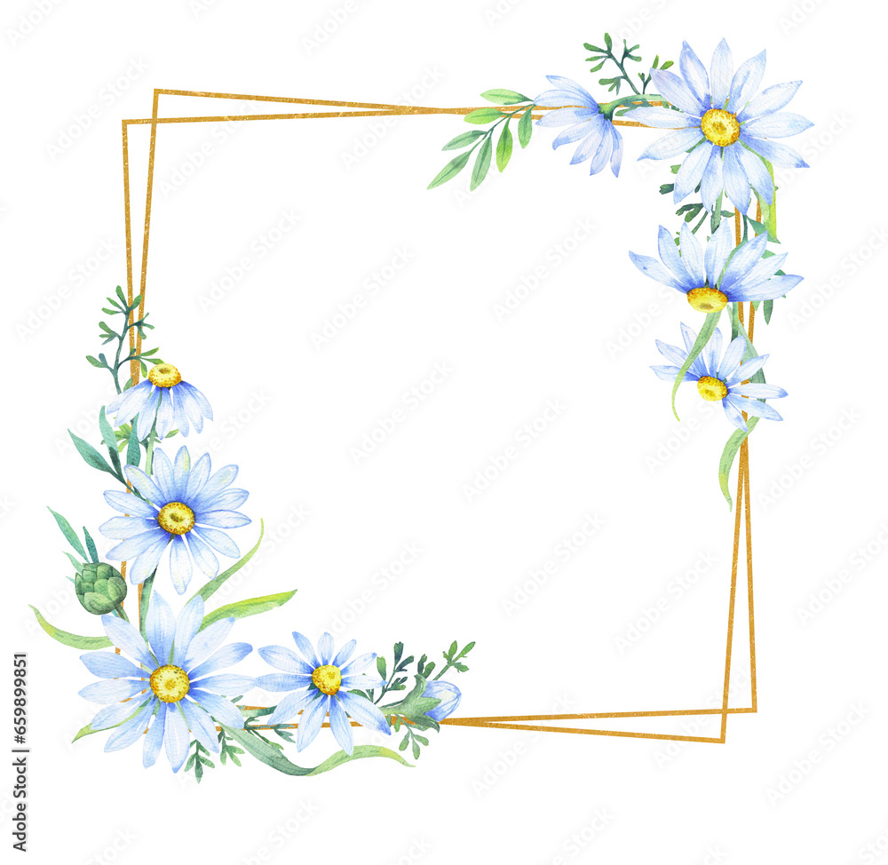 Gold square frame with apothecary chamomile flowers. Floral border of daisies, watercolor illustration   