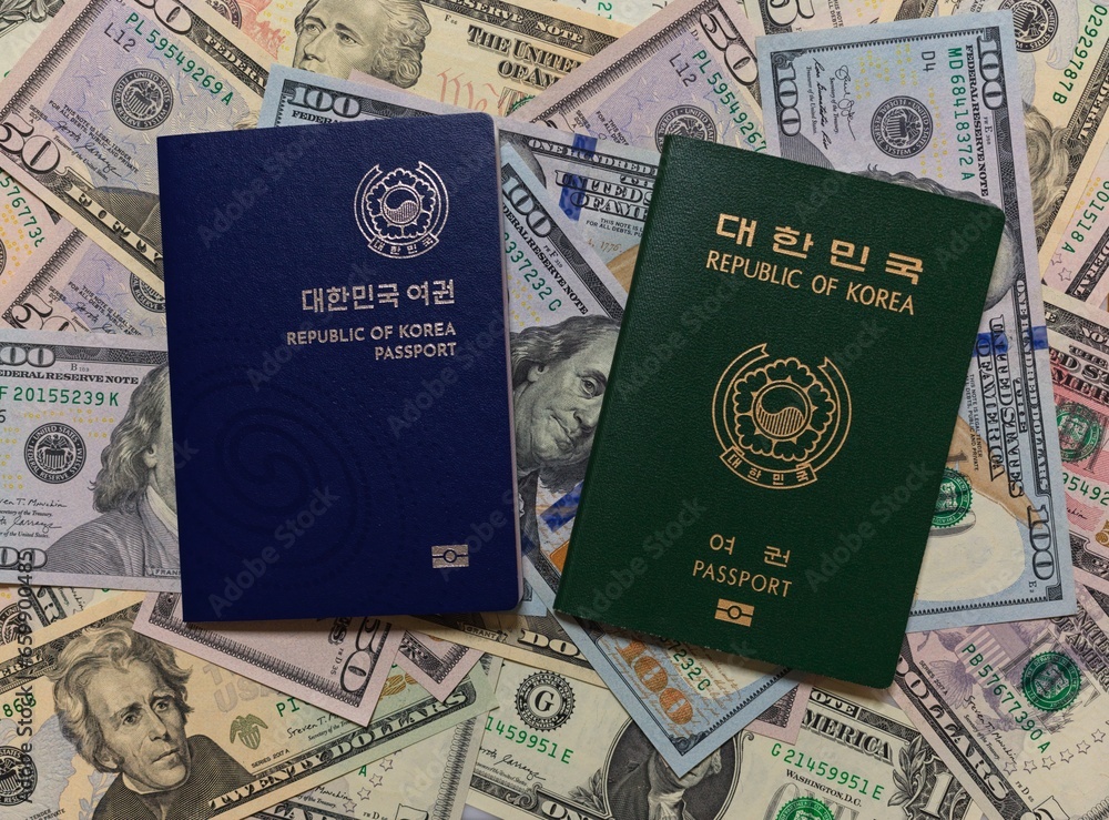 Naklejka premium 해외 여행을 위한 필수품