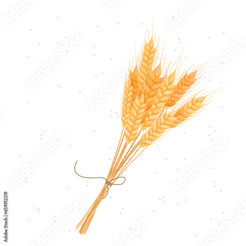Ears of wheat composition on a white background