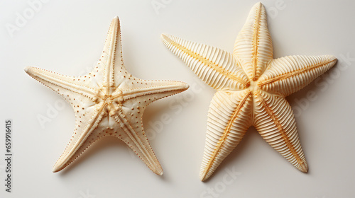 starfish isolated on white HD 8K wallpaper Stock Photographic Image