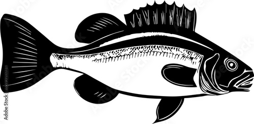 Guadalupe Bass icon 5