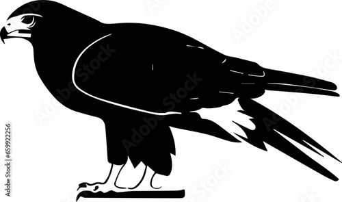 Harris Hawk icon 6