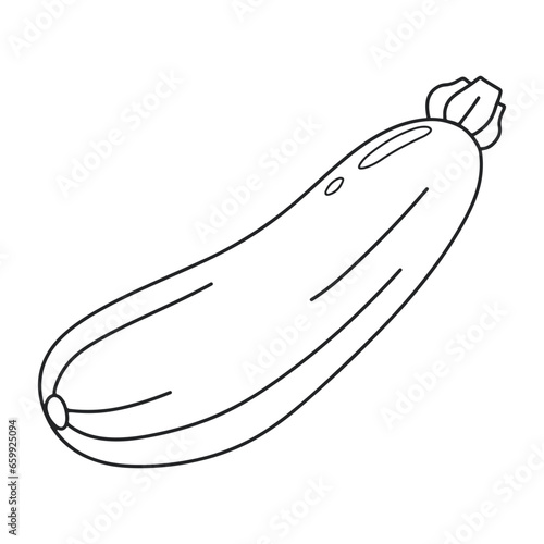 Zucchini vector icon. Oblong squash. Vegetable. organic ingredient.