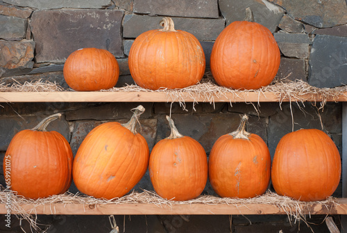 Eight orange pumpkins on two wooden shelves against a stone wall.