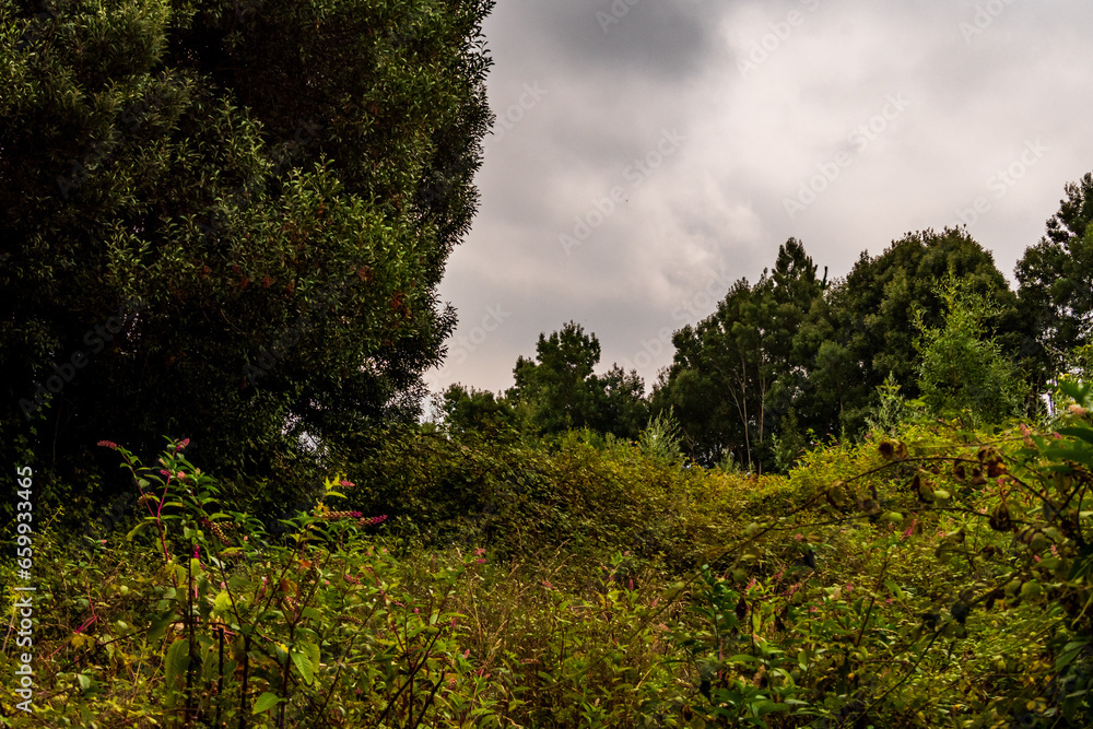 Obraz premium Monte da Picaraña, Ponteareas.