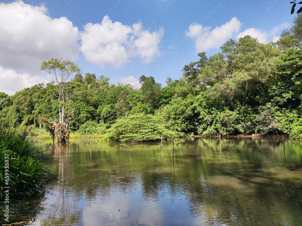 Hampstead Wetlands Park in Singapore.
