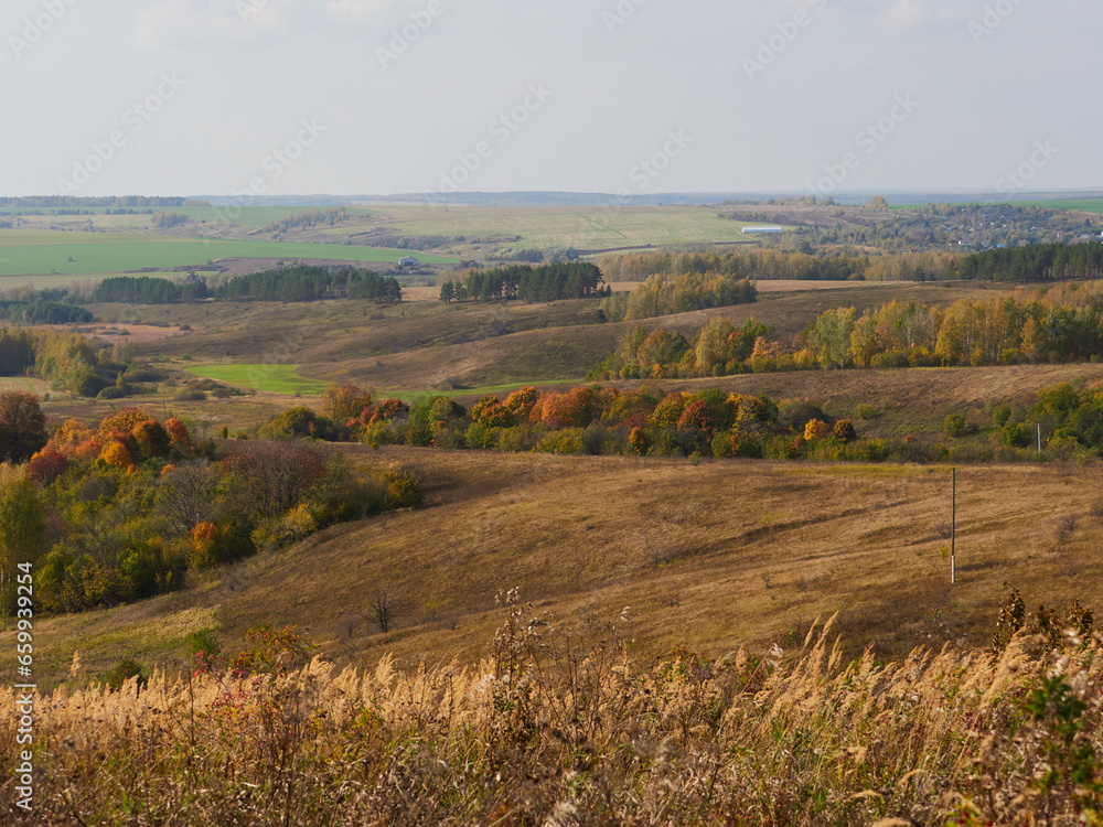 Fototapeta premium Beautiful autumn panoramic landscape in the forest. Autumn woods tree