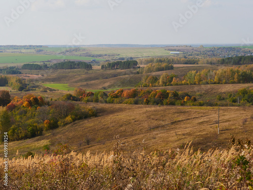 Beautiful autumn panoramic landscape in the forest. Autumn woods tree