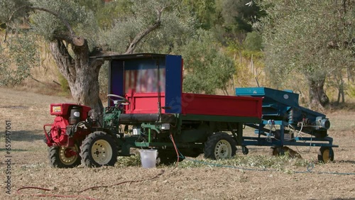 Defoliator with tractor for olive harvesting in Calabria photo