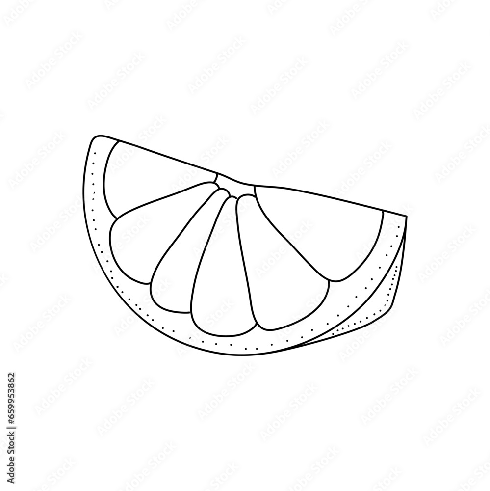 Hand drawn black line ink grapefruit. Vector illustration. Doodle citrus fruit isolated on white background Hand drawn black line ink grapefruit. Vector illustration. Doodle citrus fruit isolated on white background