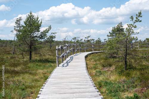 A moor with a  wooden path photo