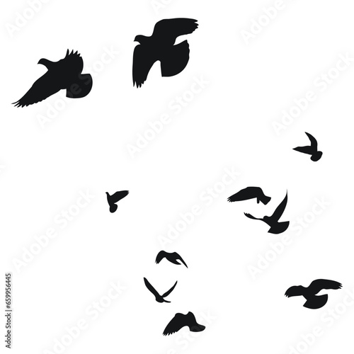 Silhouette sketch of a flock of flying birds  flight in different positions. Hover  soaring  landing  flying  flutter