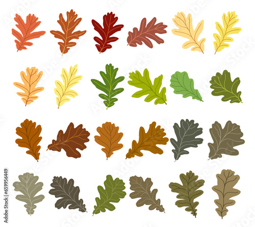 Set of vector silhouettes of colored oak leaves
