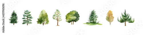 Watercolor tree vector collection. Forest illustration element. Woodland pine trees.