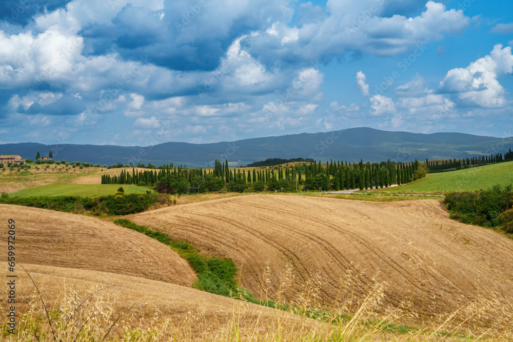 Rural landscape in Val d Orcia, Tuscany, at summer