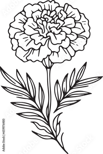 Wallpaper Mural Marigold flower drawing is easy for kids, october flower tattoo black and white, realistic marigold flower drawing, pencil marigold flower drawing, sketch marigold flower drawing Torontodigital.ca