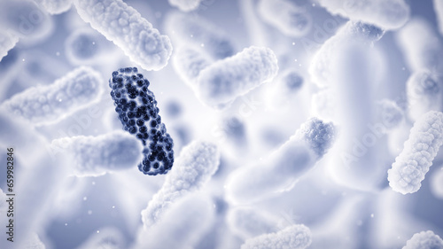 Canvastavla Antimicrobial Resistance (AMR) occurs when bacteria change over time and develop the ability to withstand antimicrobial treatments