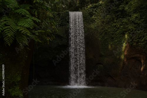 Waterfall Tropical Rain Forest Dark Moody Beauty