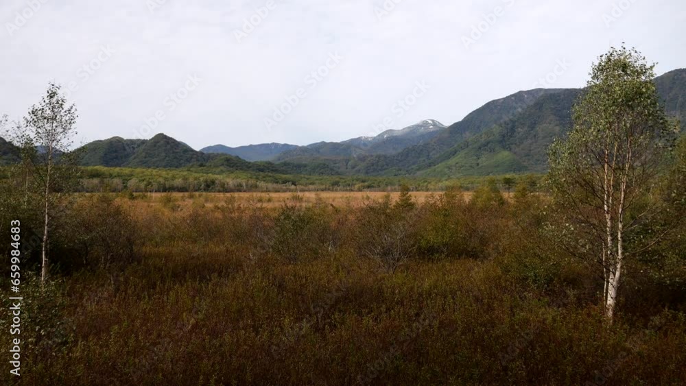 A view of the marshland with autumn grasses. A view of the marshland with autumn grasses.