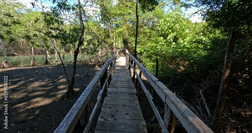 Wooden bridge pathway over marshy river with vegetation thickets, summer travel exploration concept, Curu Wildlife Reserve, Costa Rica wildlife