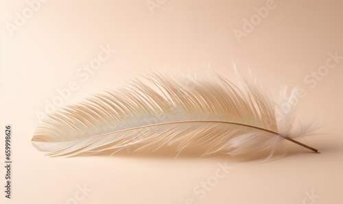 Photo of a white feather on a pink background