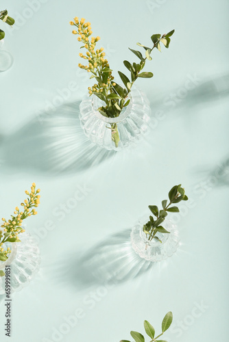minimalistic composition of a glass vase and a green leaf