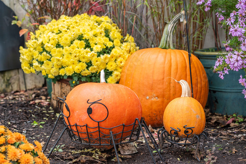 Autumn Harvest with pumpkins, gourds and colorful mums taken in New England