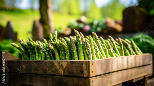 bunch of fresh green asparagus in wooden box on garden background
