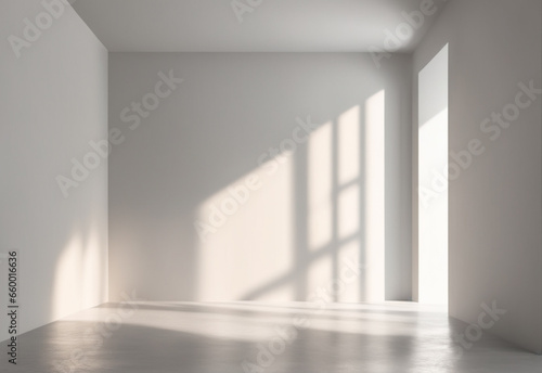 abstract light gray background for product presentation. Mockup interior  an empty room with daylight