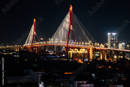 Yangpu Bridge, Yangpu District, Shanghai - low angle view of the illuminated bridge at night © 江乐 陈