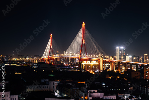 Yangpu Bridge, Yangpu District, Shanghai - low angle view of the illuminated bridge at night