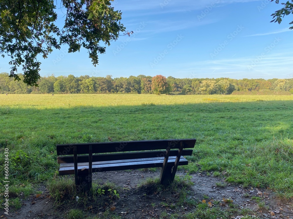 Bench on the edge of the forest with a view of the Schwanheimer Wiese in Frankfurt