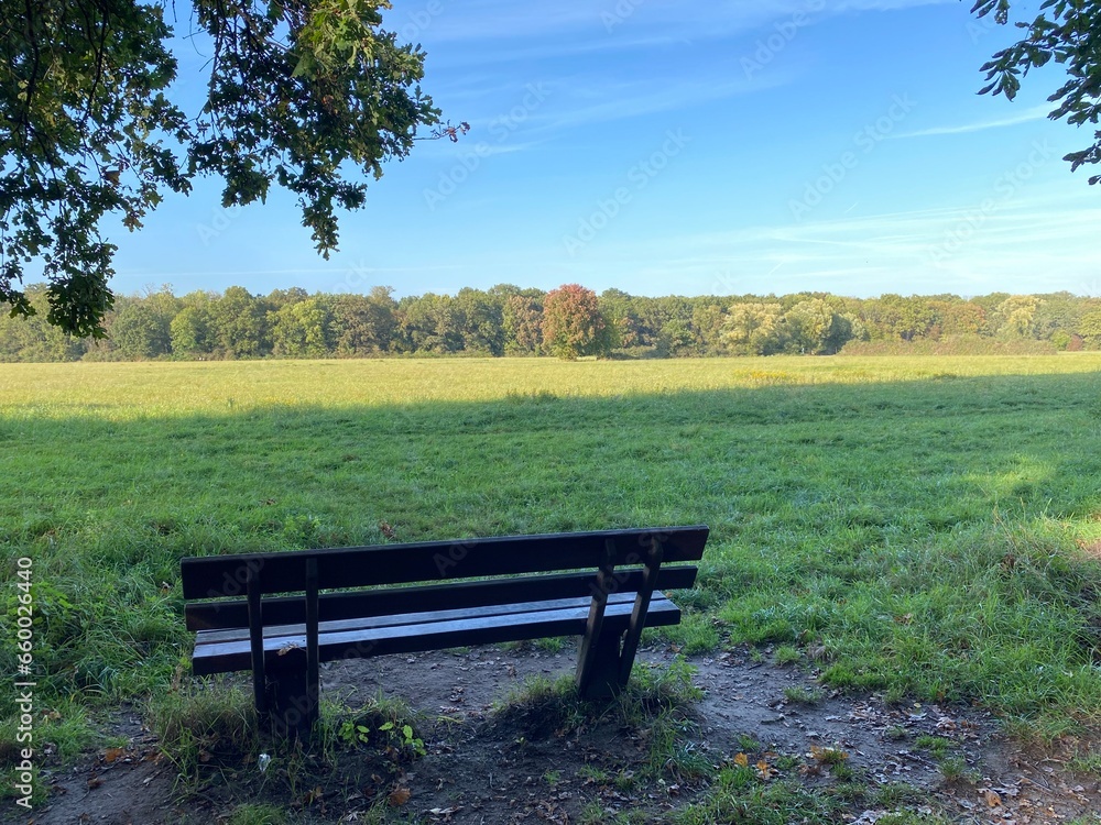 Bench on the edge of the forest with a view of the Schwanheimer Wiese in Frankfurt Bench on the edge of the forest with a view of the Schwanheimer Wiese in Frankfurt
