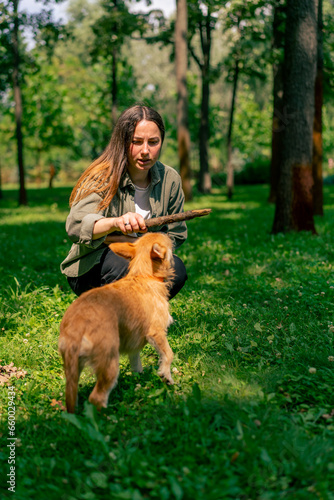 portrait of a young girl walking in the park with her dog, playing with a stick and teasing him with it
