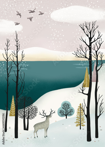 Winter snow woodland nature...