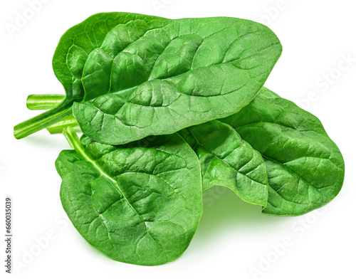 Fresh green leaves of Spinach leafy vegetable isolated on white background. Spinach Macro. Top view. Flat lay..