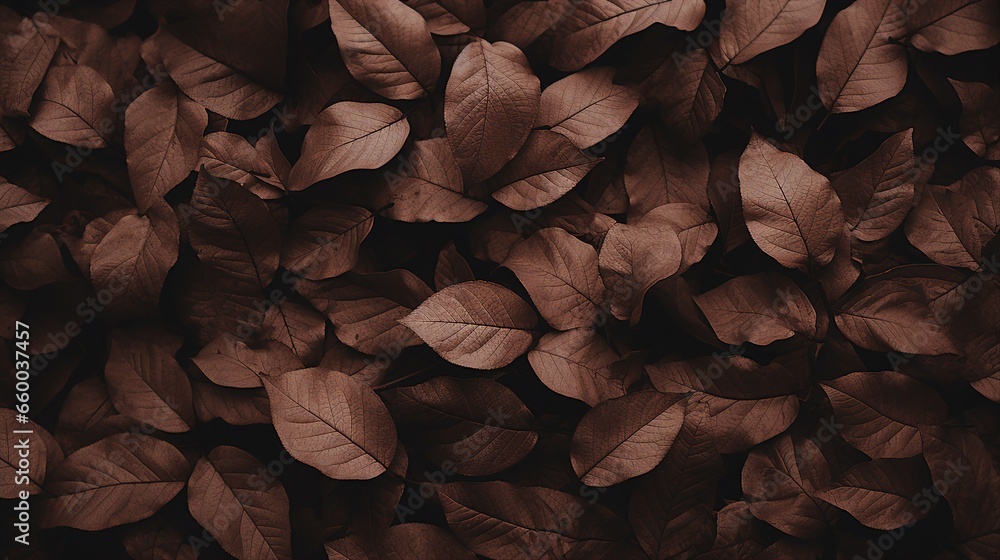 Brown plant leaves in autumn season, brown background - obrazy, fototapety, plakaty 