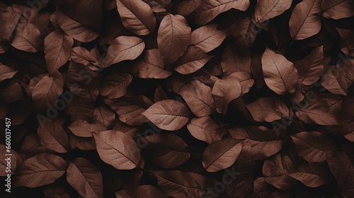 Brown plant leaves in autumn season, brown background