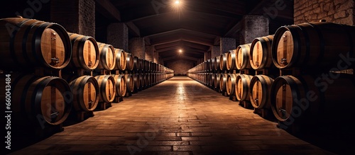 Wooden barrels of wine cognac brandy and craft beer in winery cellar With copyspace for text photo