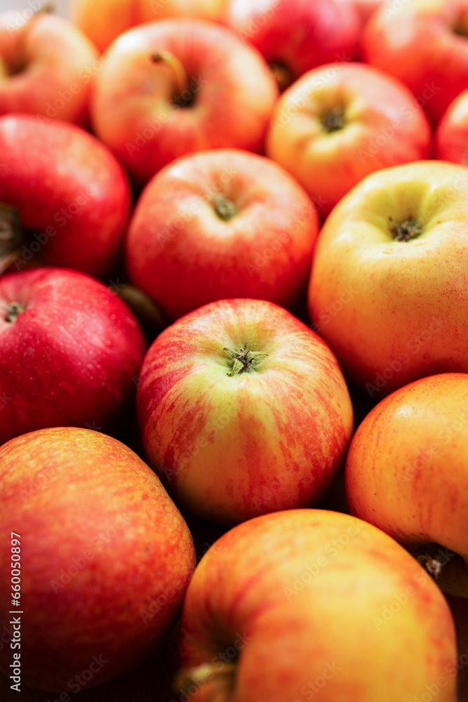 Apples of red-yellow color close-up